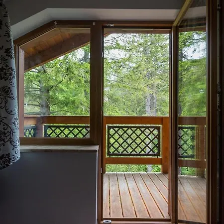 Family Pod Swierkami Centrum Miasta! アパート