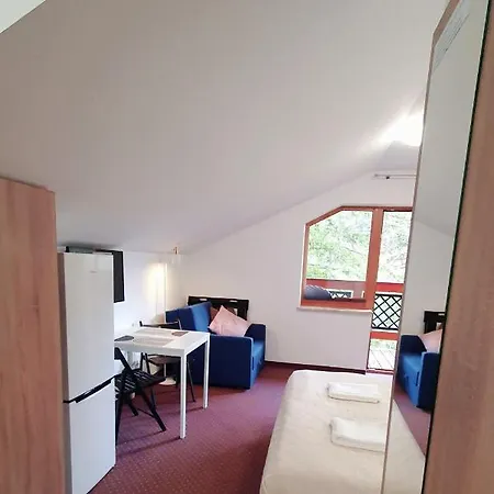 Family Pod Swierkami Centrum Miasta!