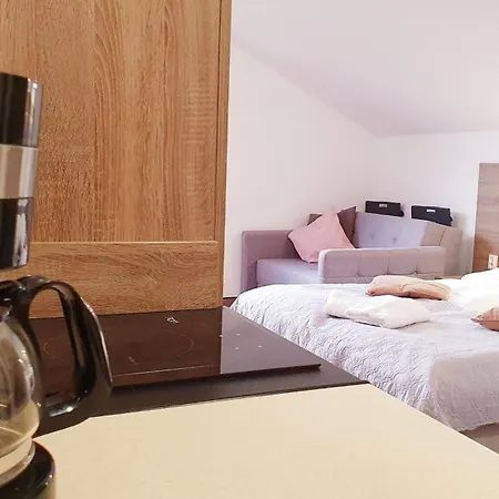 Family Pod Swierkami Centrum Miasta! *